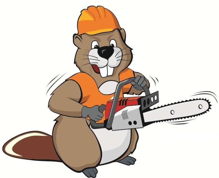 Beaver Tree Service